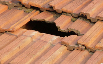 roof repair Abbey Green